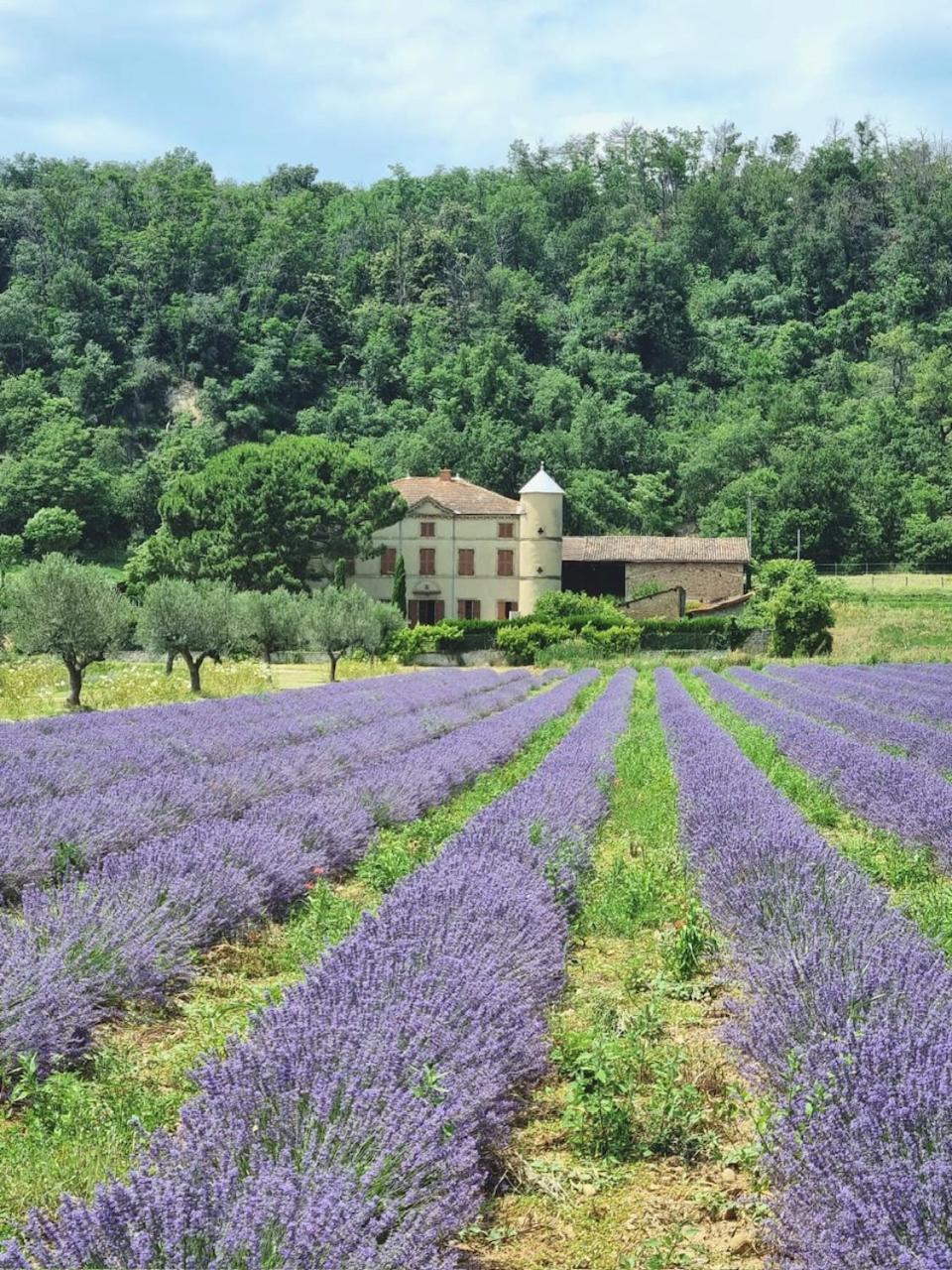 Domaine Des Balmes Villa Romans-sur-Isère Exteriör bild