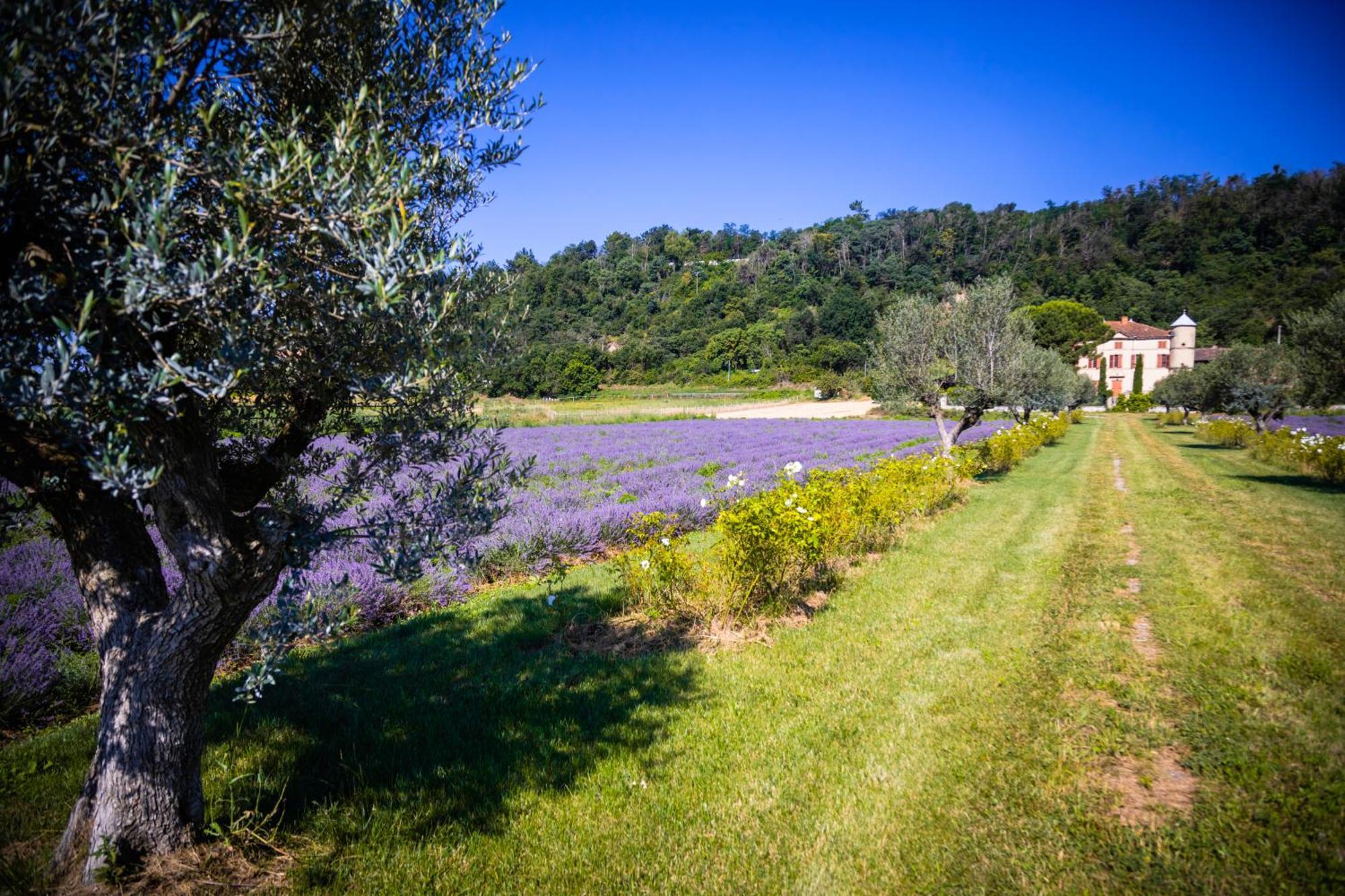 Domaine Des Balmes Villa Romans-sur-Isère Exteriör bild